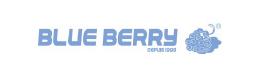 blue-berry-100